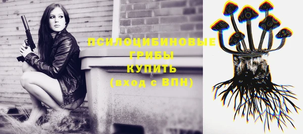 каннабис Алзамай